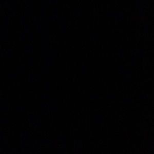 Meet your Posher, Ashlynn